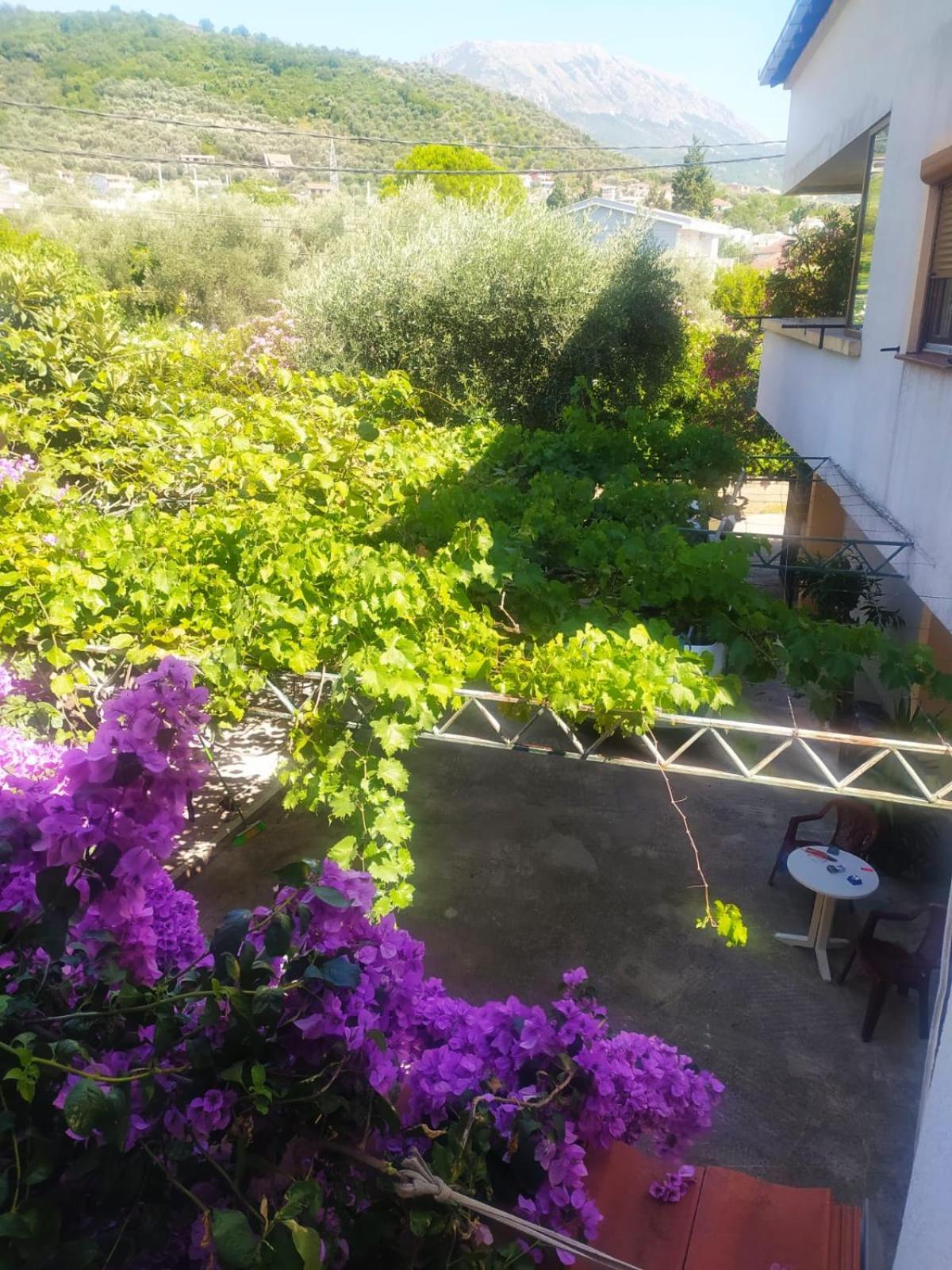 Boho Apart Apartman Bar Kültér fotó